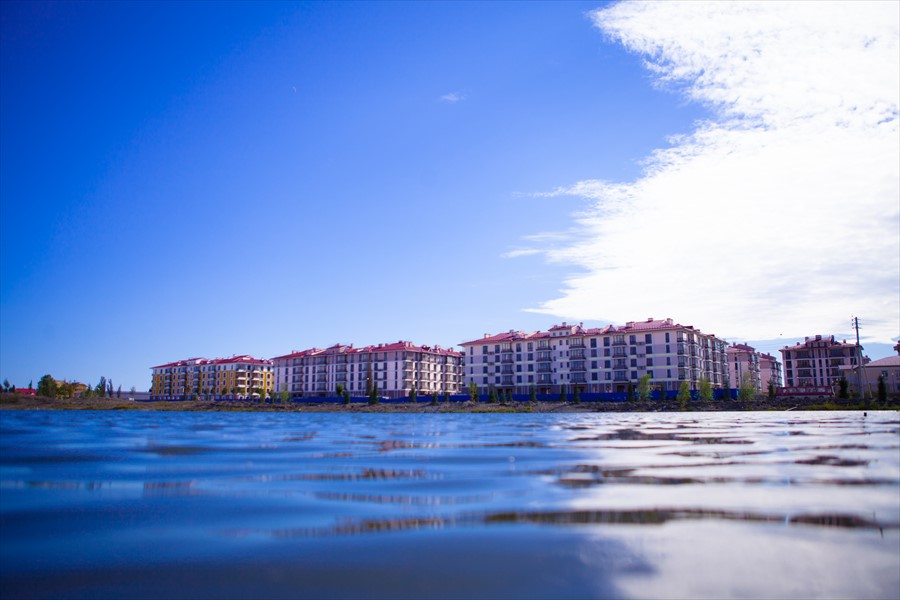 Фото Гамма Сириус