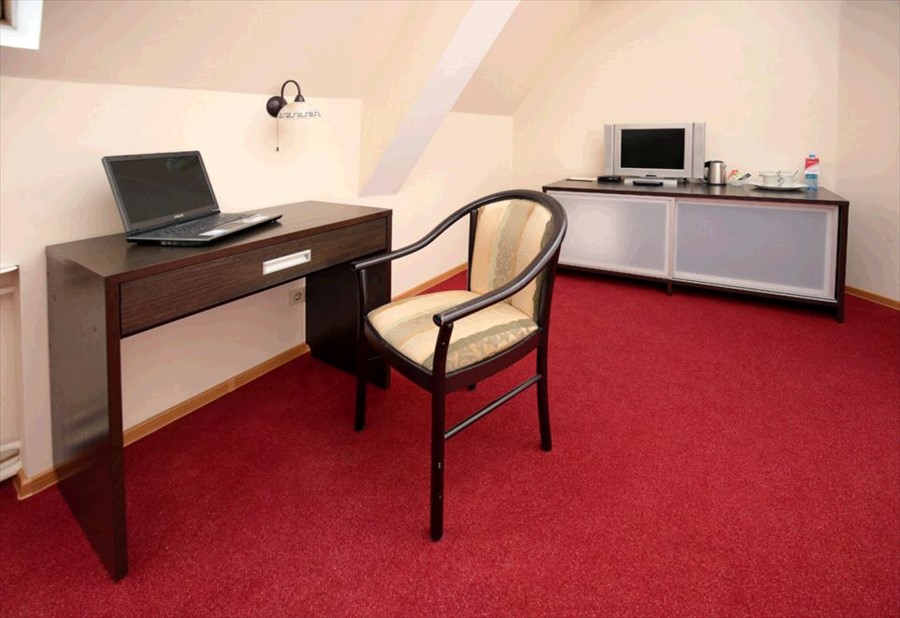 Фото Колибри