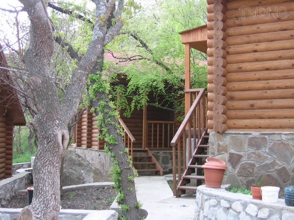 Фото Артемида