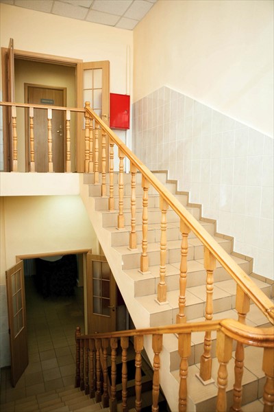 Фото Вежливый лось