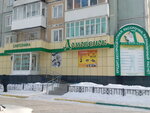 Domovenok (prospekt Zapsibovtsev, 6), plumbing shop