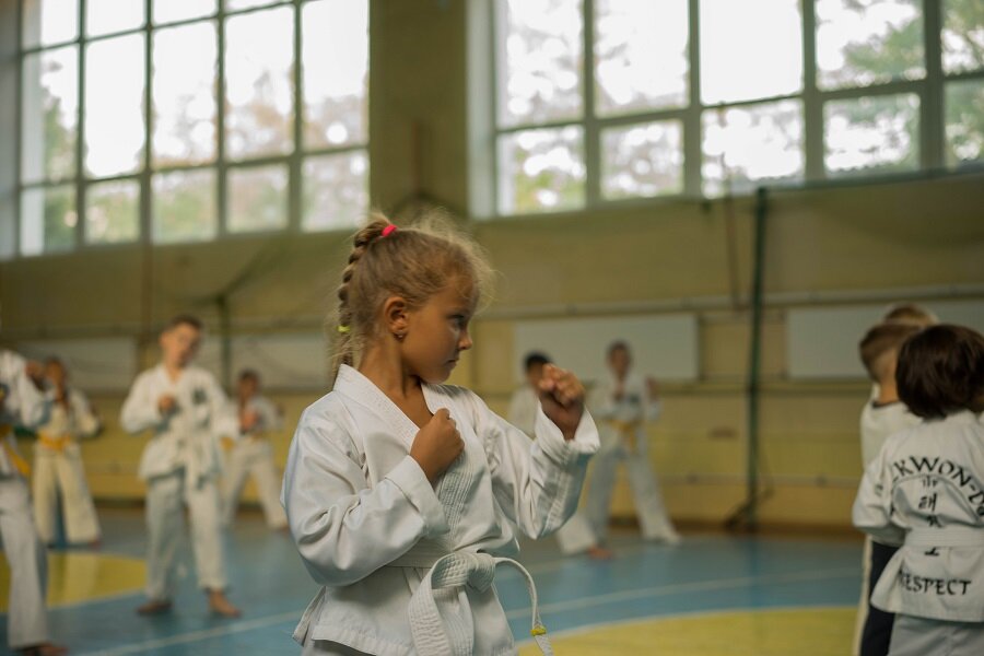 نادي رياضي، مجموعة Respect Taekwondo Itf Club ، سيمفيروبول، صورة