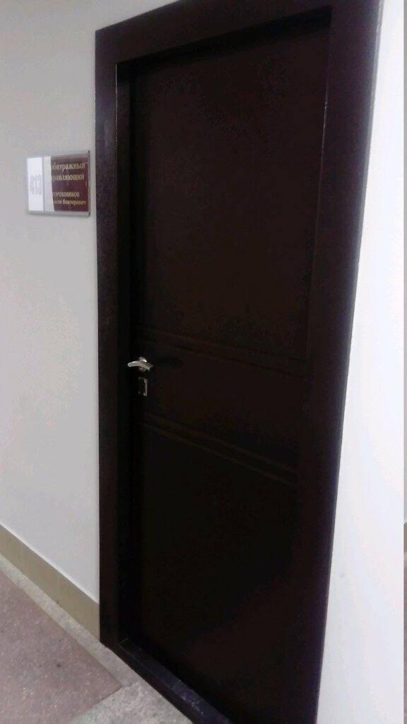 Registration and liquidation of enterprises Arbitrazhny upravlyayushchy Gorokhovikov A. V., Novosibirsk, photo