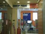 Pegas Touristik (Altufyevskoye Highway, 8), travel agency