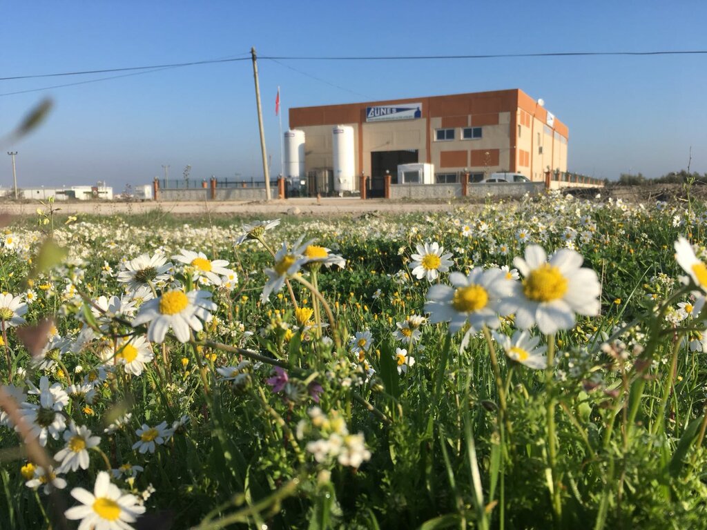 Technical and medical gases Güneş Sınai Gazları, Konak, photo