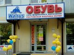 Walrus (Krasnaya Street, 196), shoe store