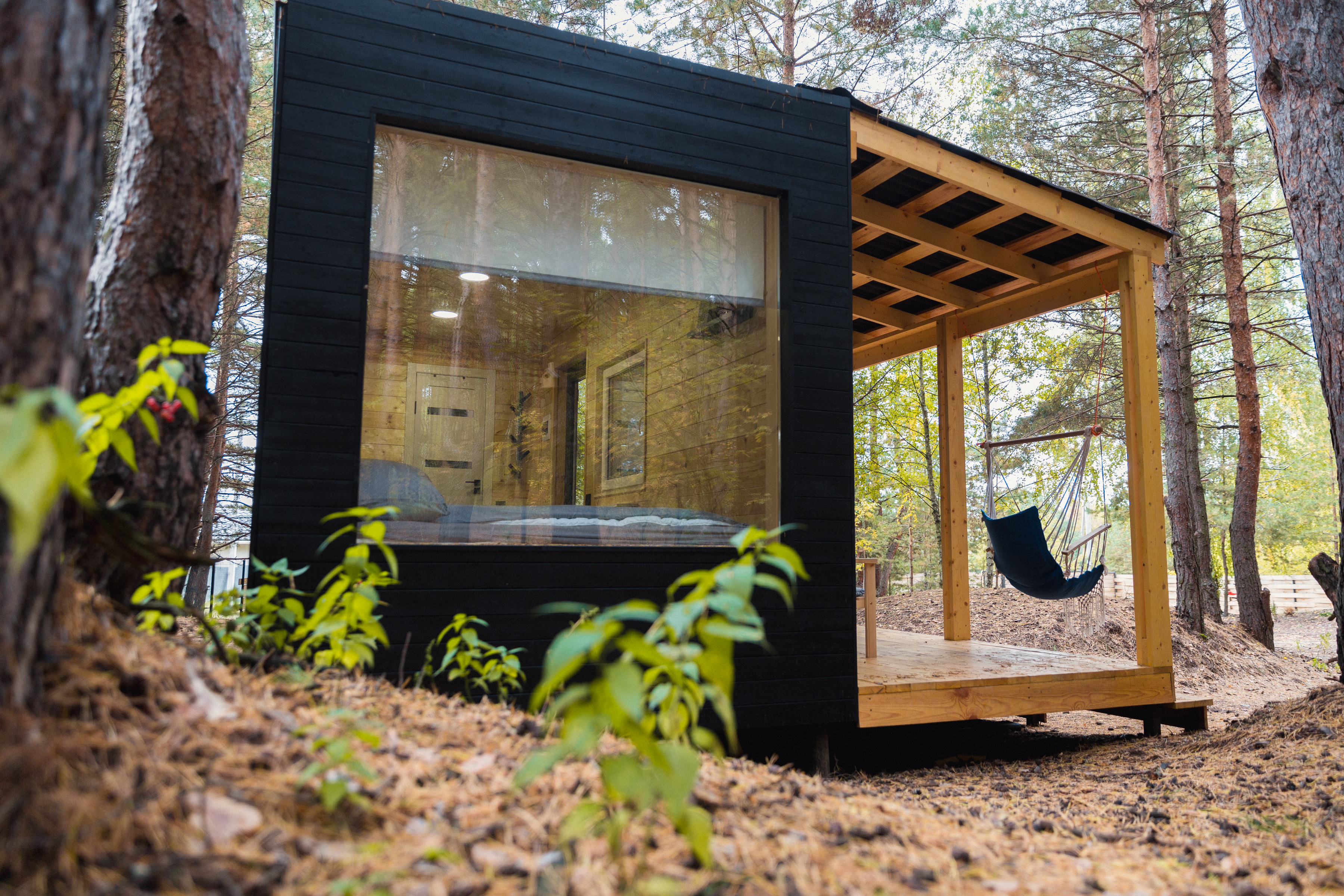 Фото Место под соснами