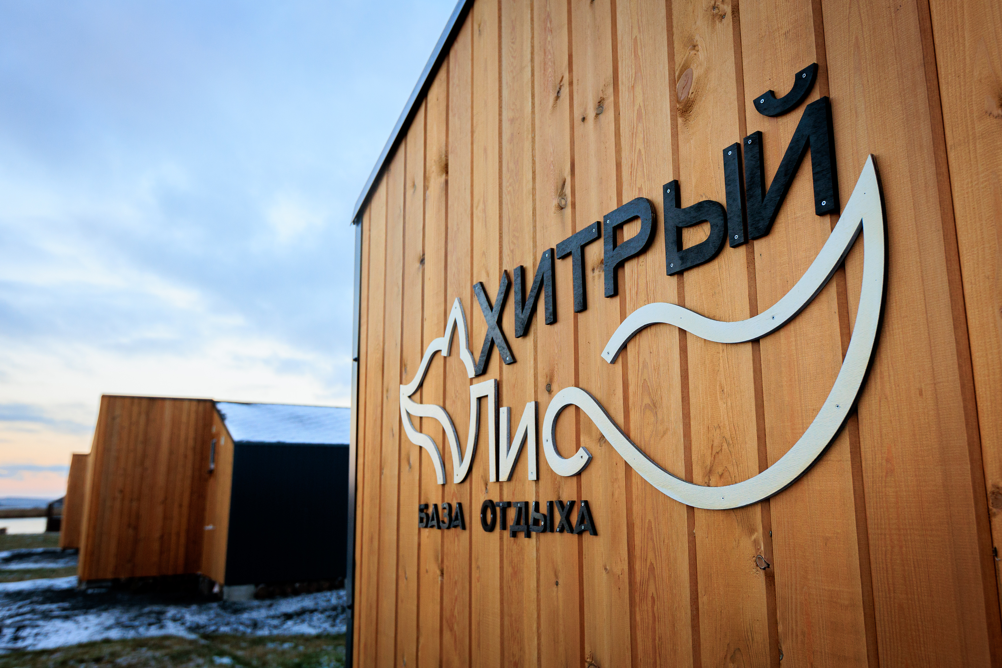 Фото Хитрый Лис