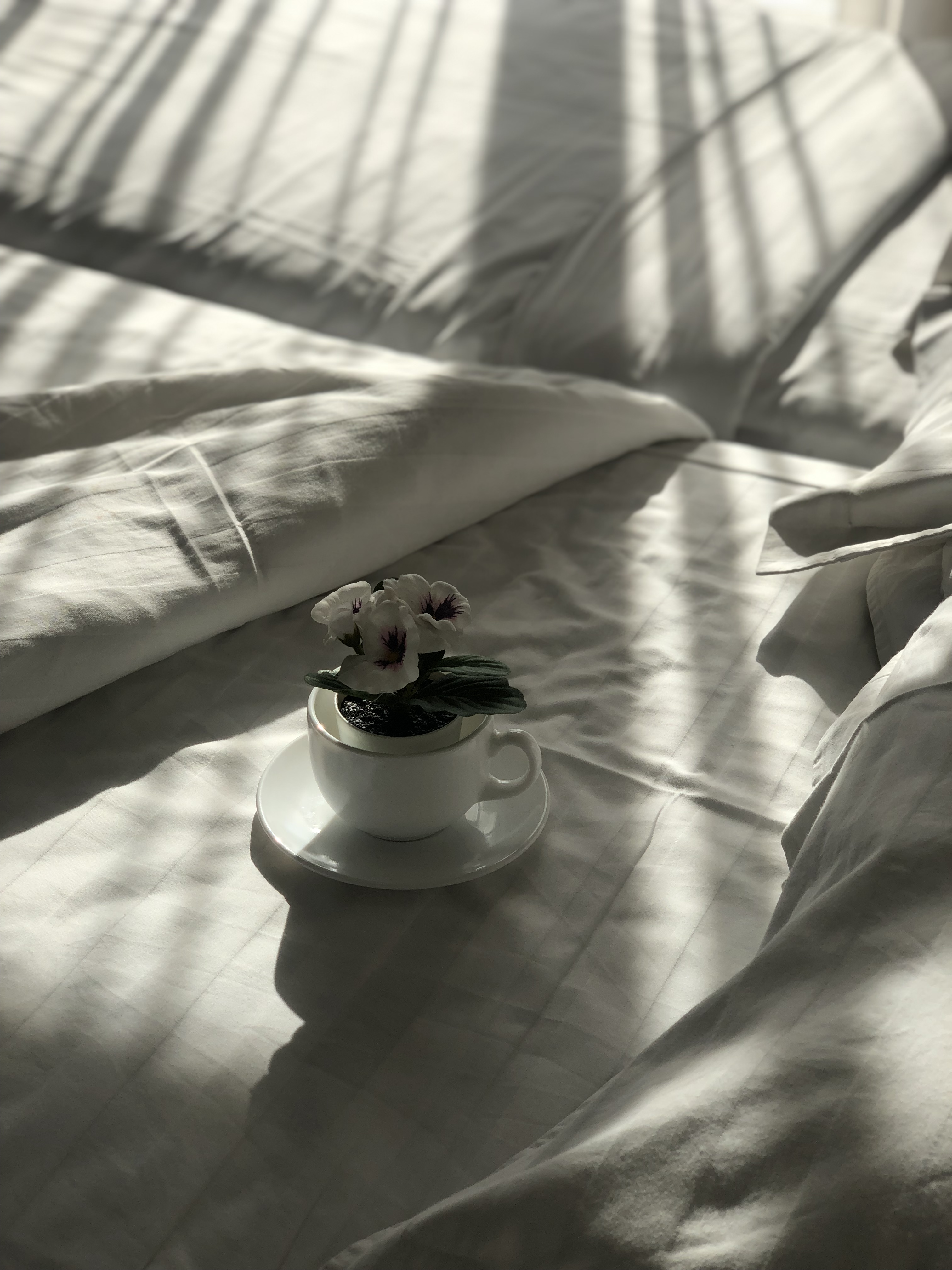 Фото Villa Sarra