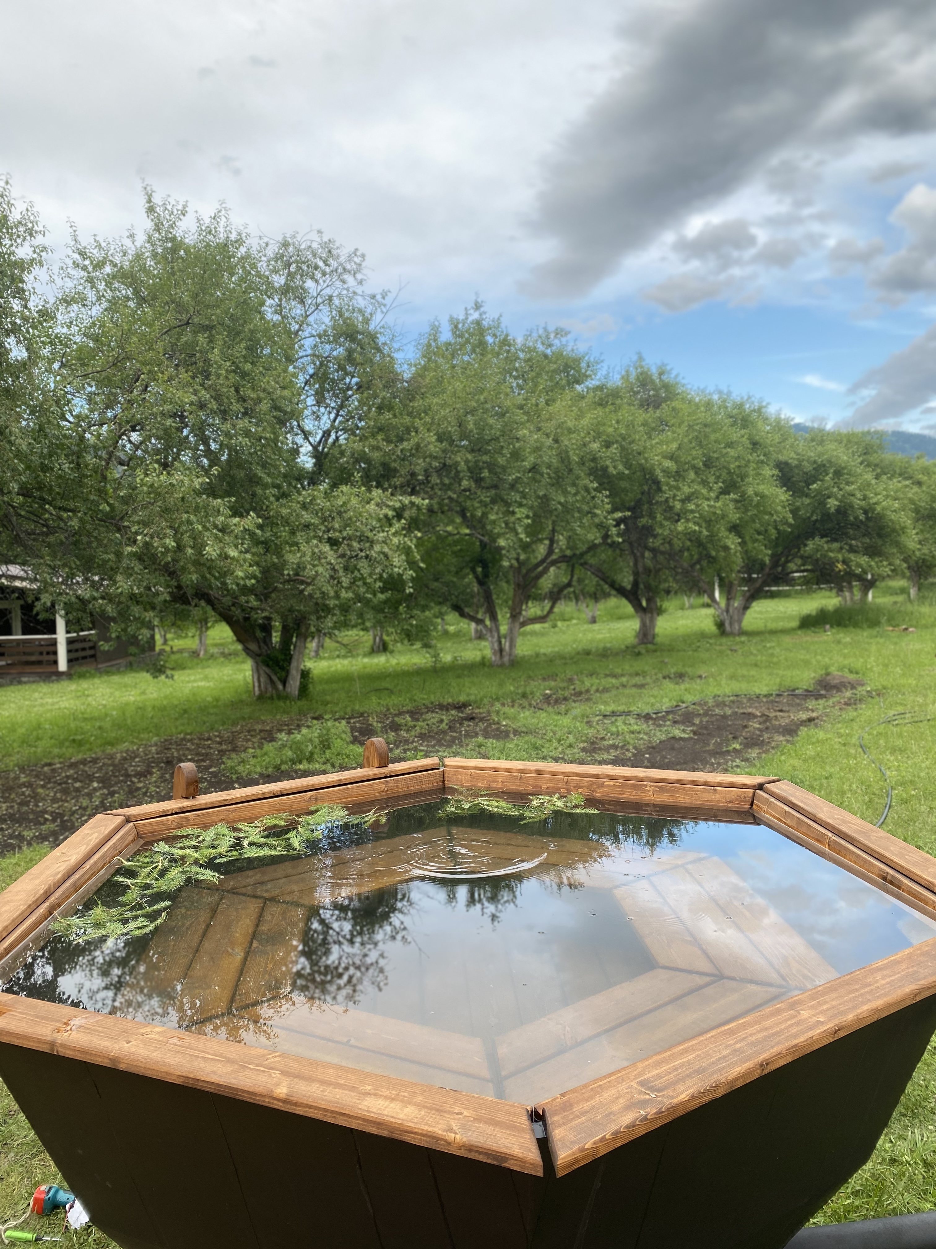 Фото Апартаменты Алама