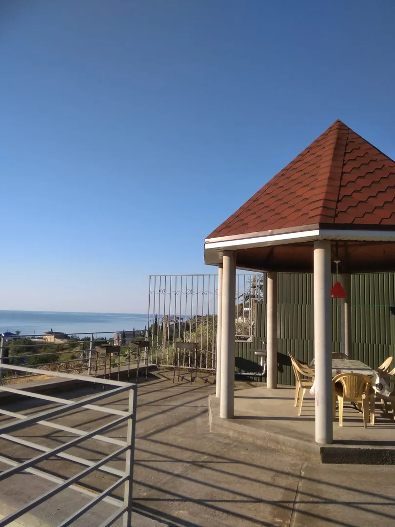 Фото Дельфин