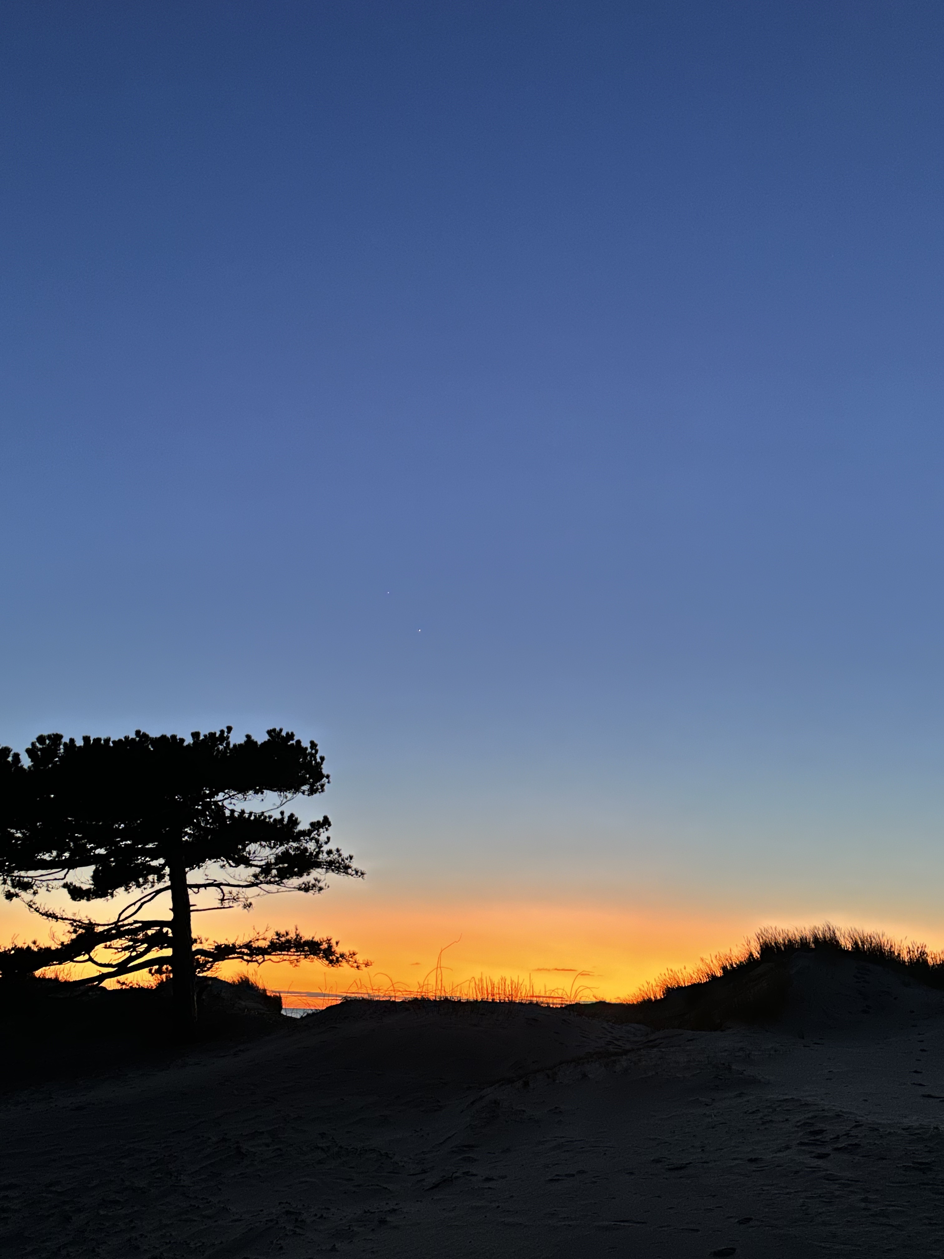 Фото Викингуд Глэмпинг