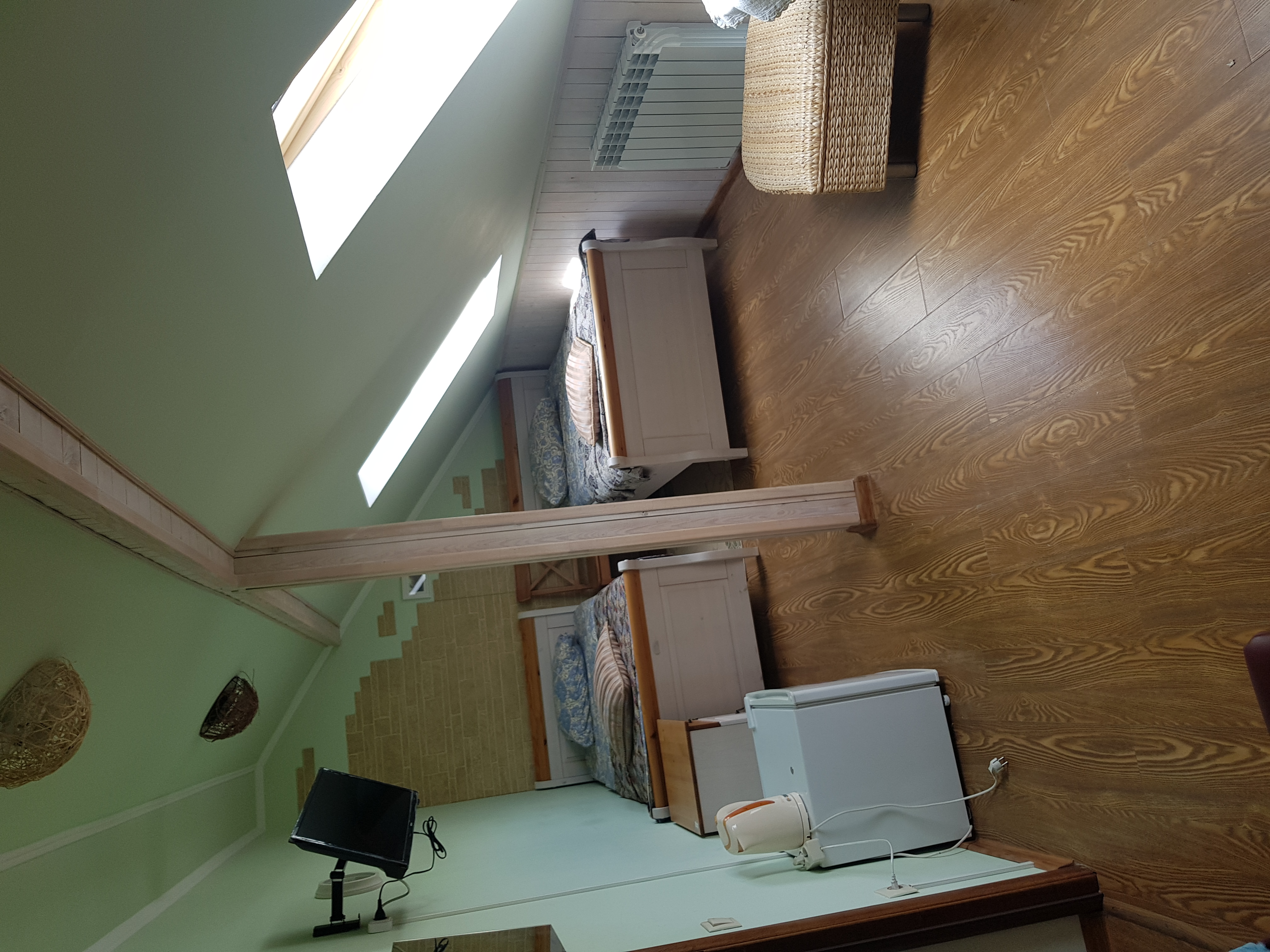 Фото Золотой Гусь