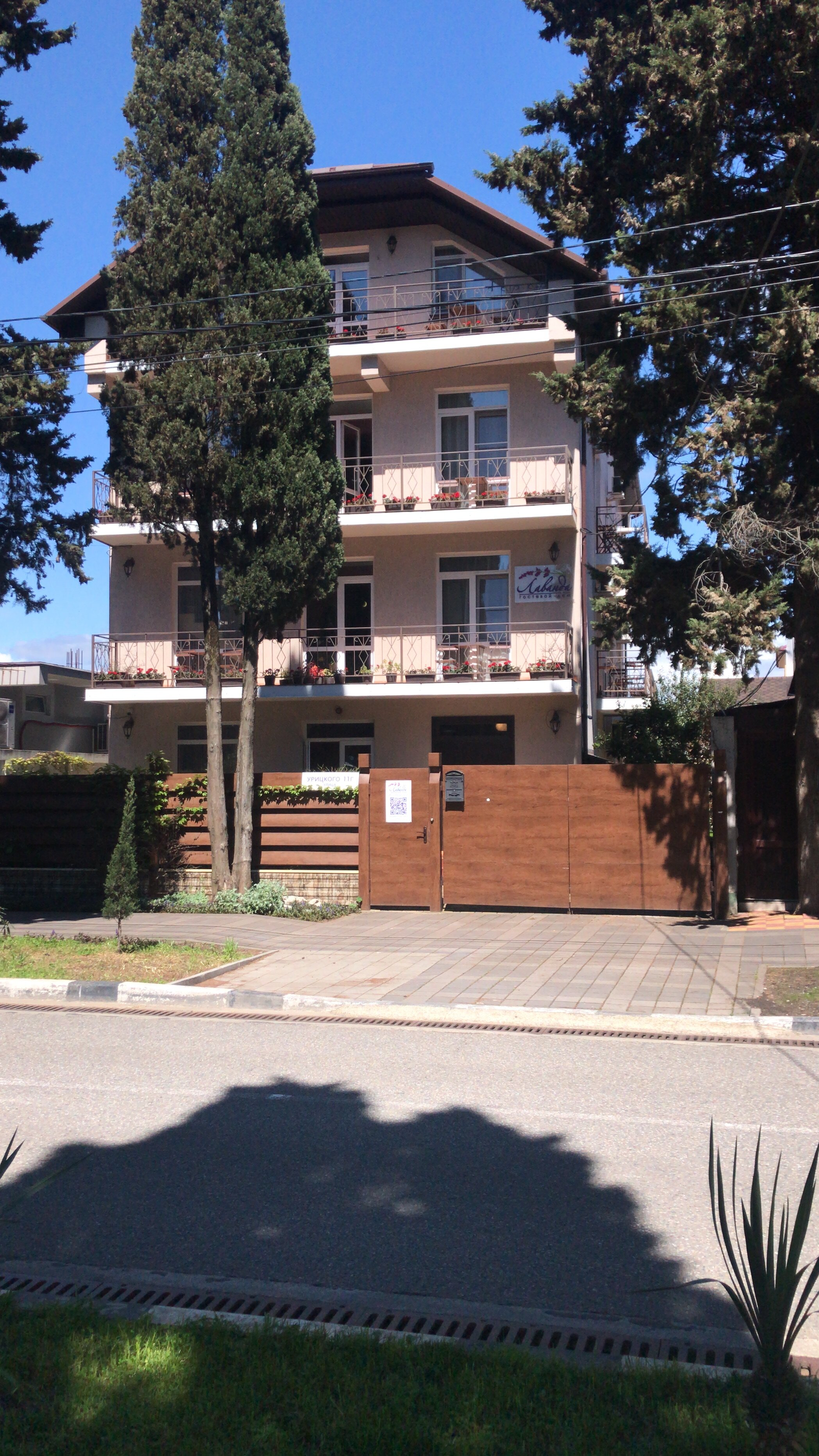 Фото Лаванда