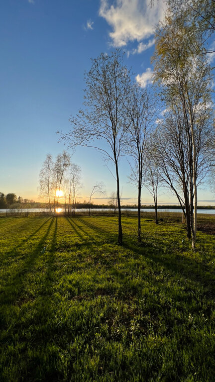 Фото Ферма моей мамы