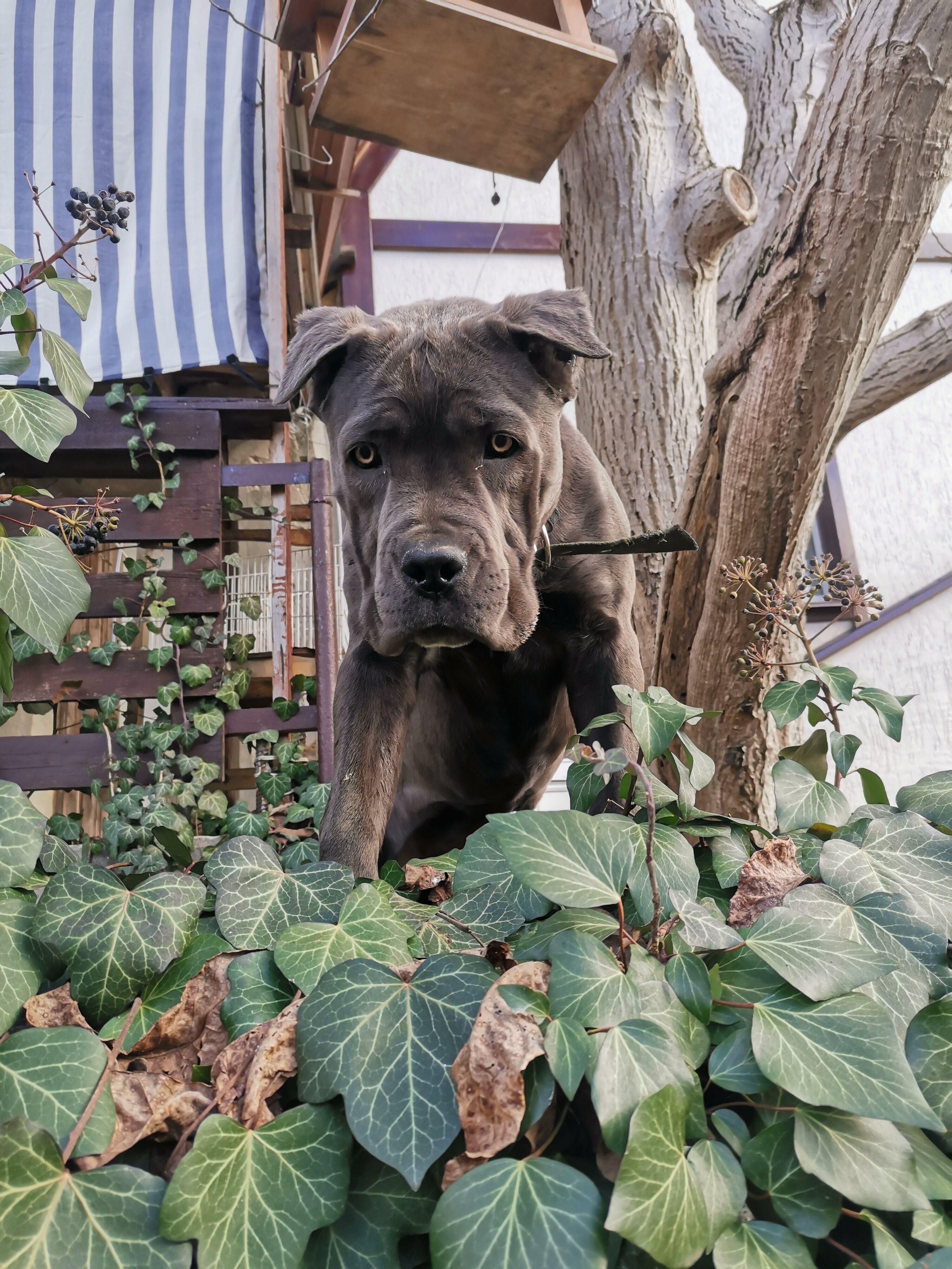 Фото Наш Дом