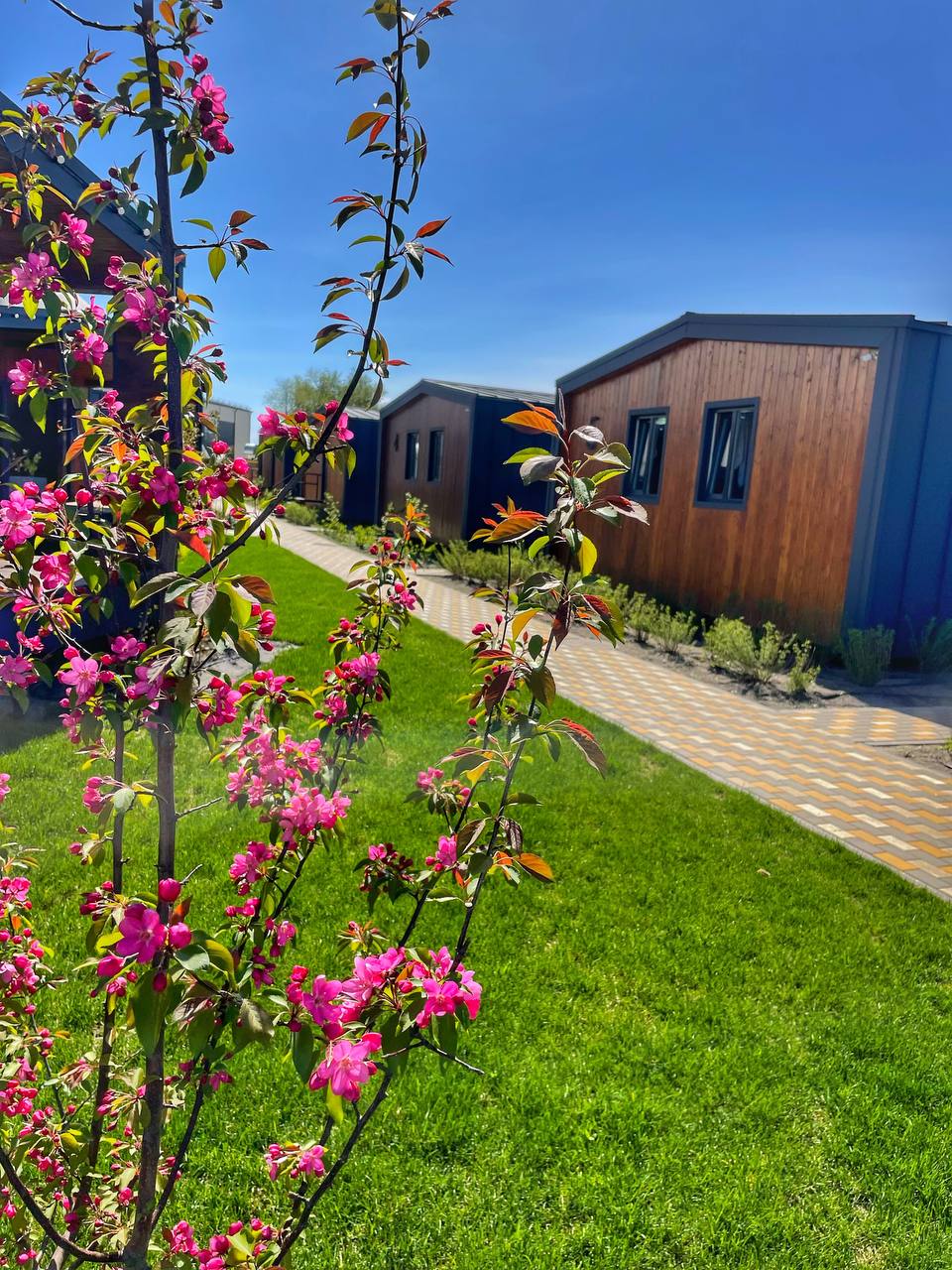 Фото Негород