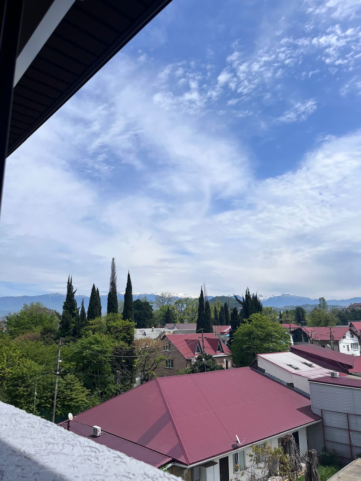 Фото Гиацинт