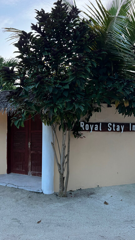 Фото Royal Stay Inn