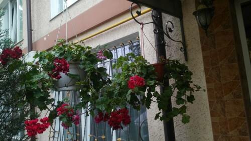 Апартаменты Живём на Горького 30 в Симферополе