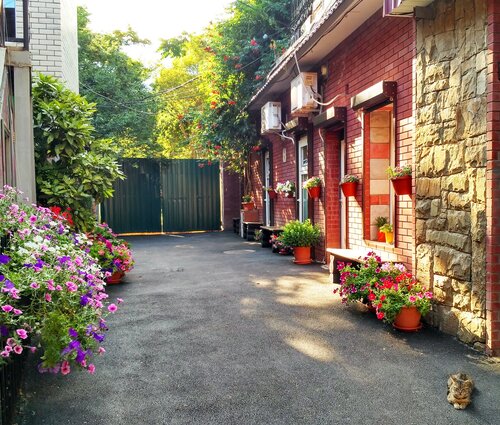 Дом в аренду Лилия-1 в Крыму