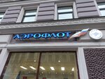 Aeroflot Russian Airlines (Saint Petersburg, Rubinshteyna Street, 1/43), airline