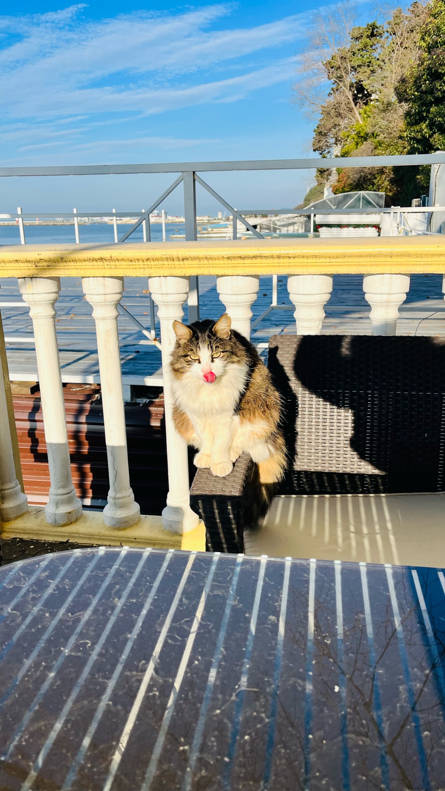 Фото Руссо Туристо