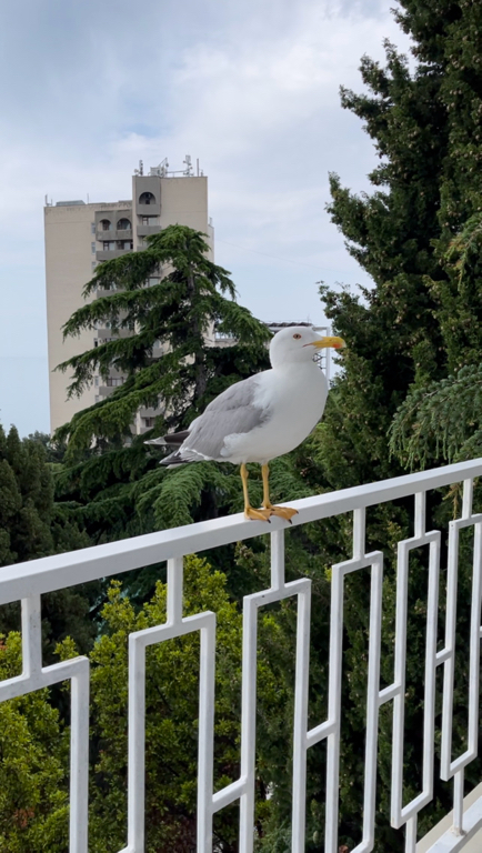 Фото Эллада