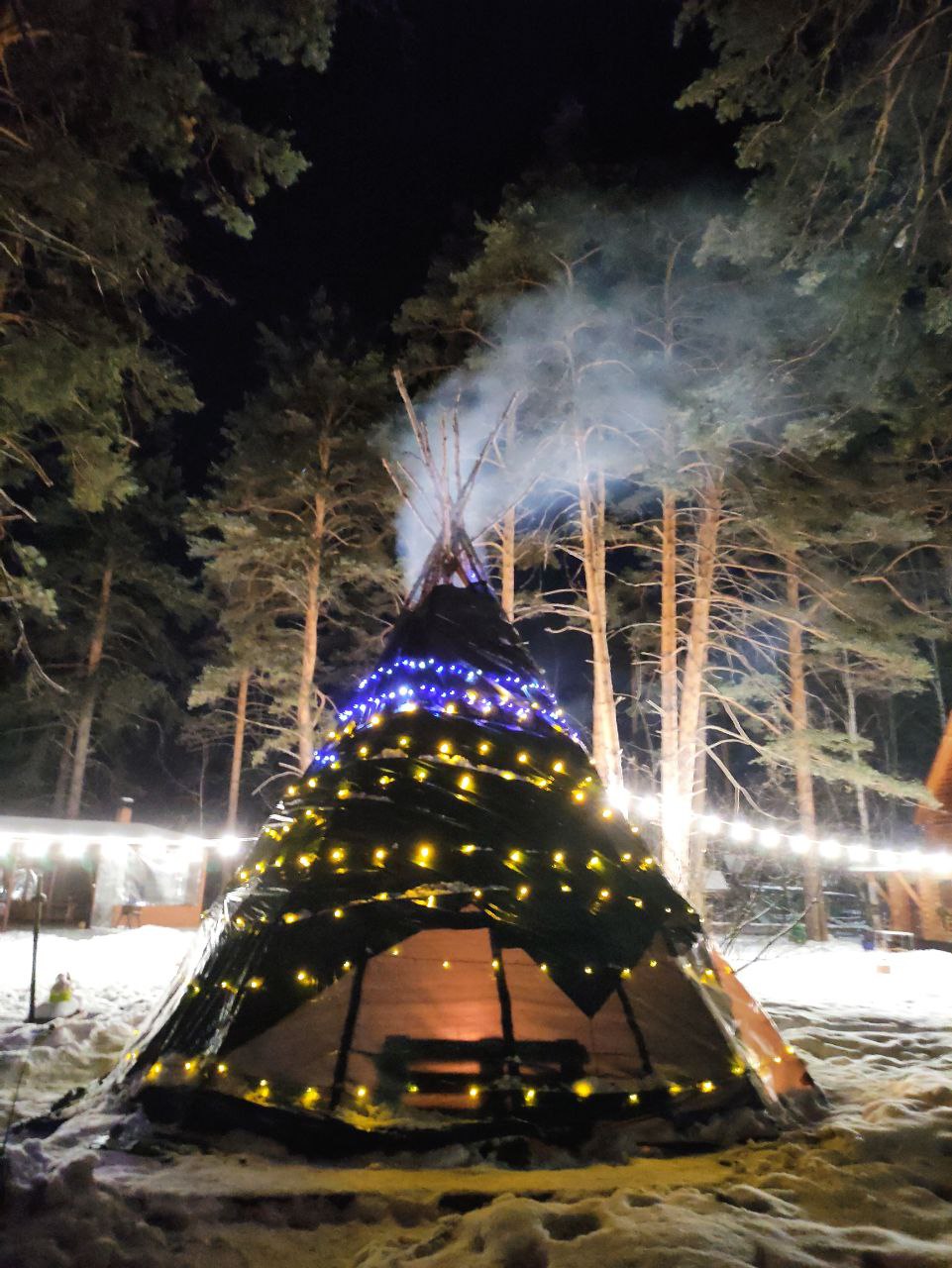 Фото Дача в соснах