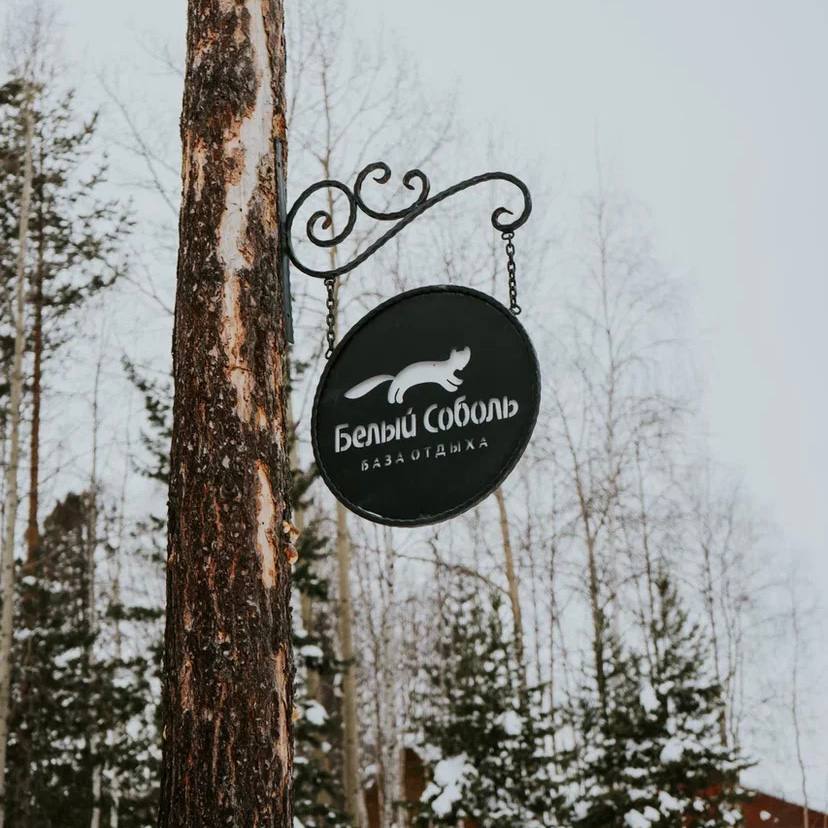 Фото Белый соболь