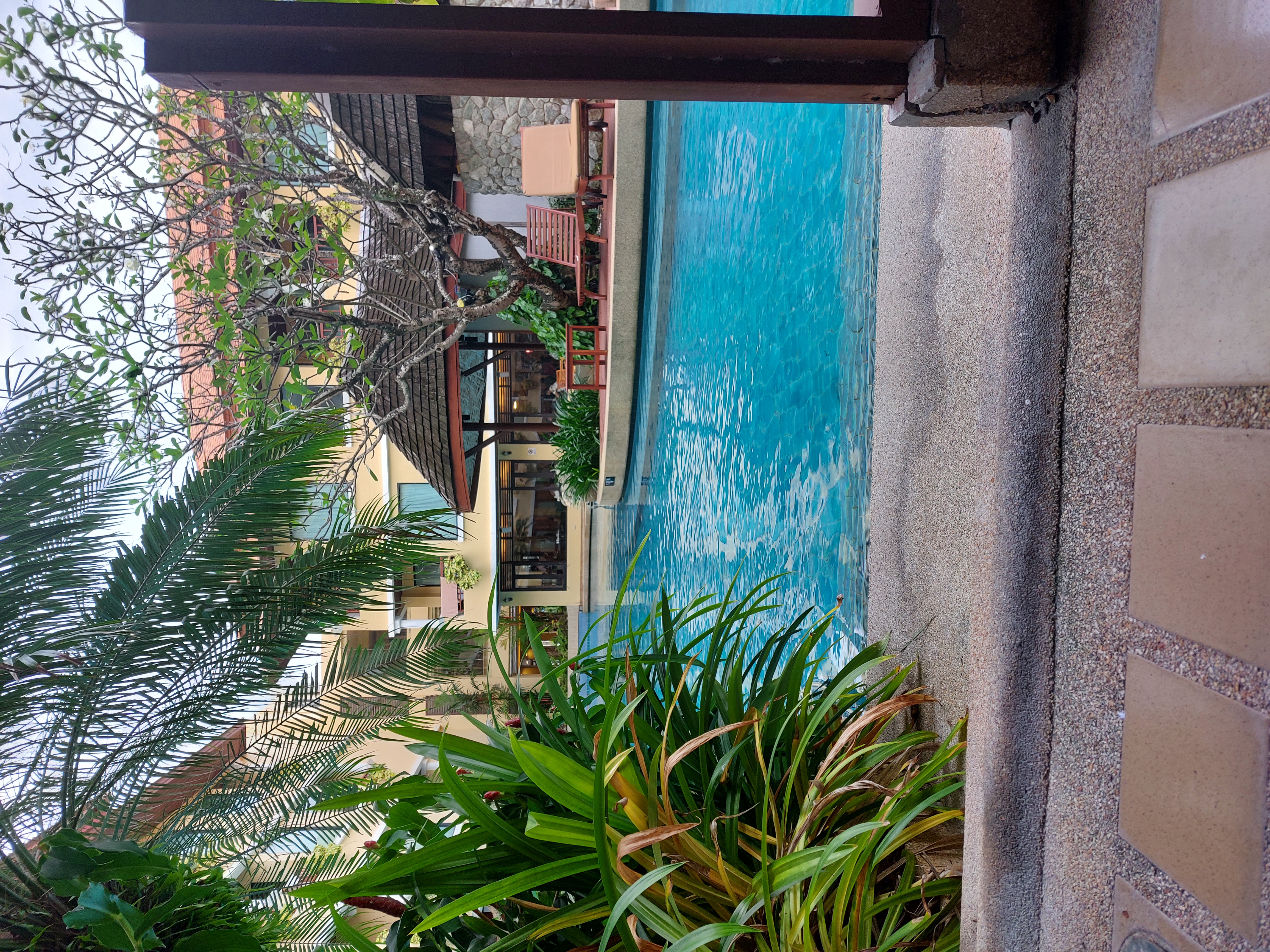 Фото Patong Paragon Resort and SPA