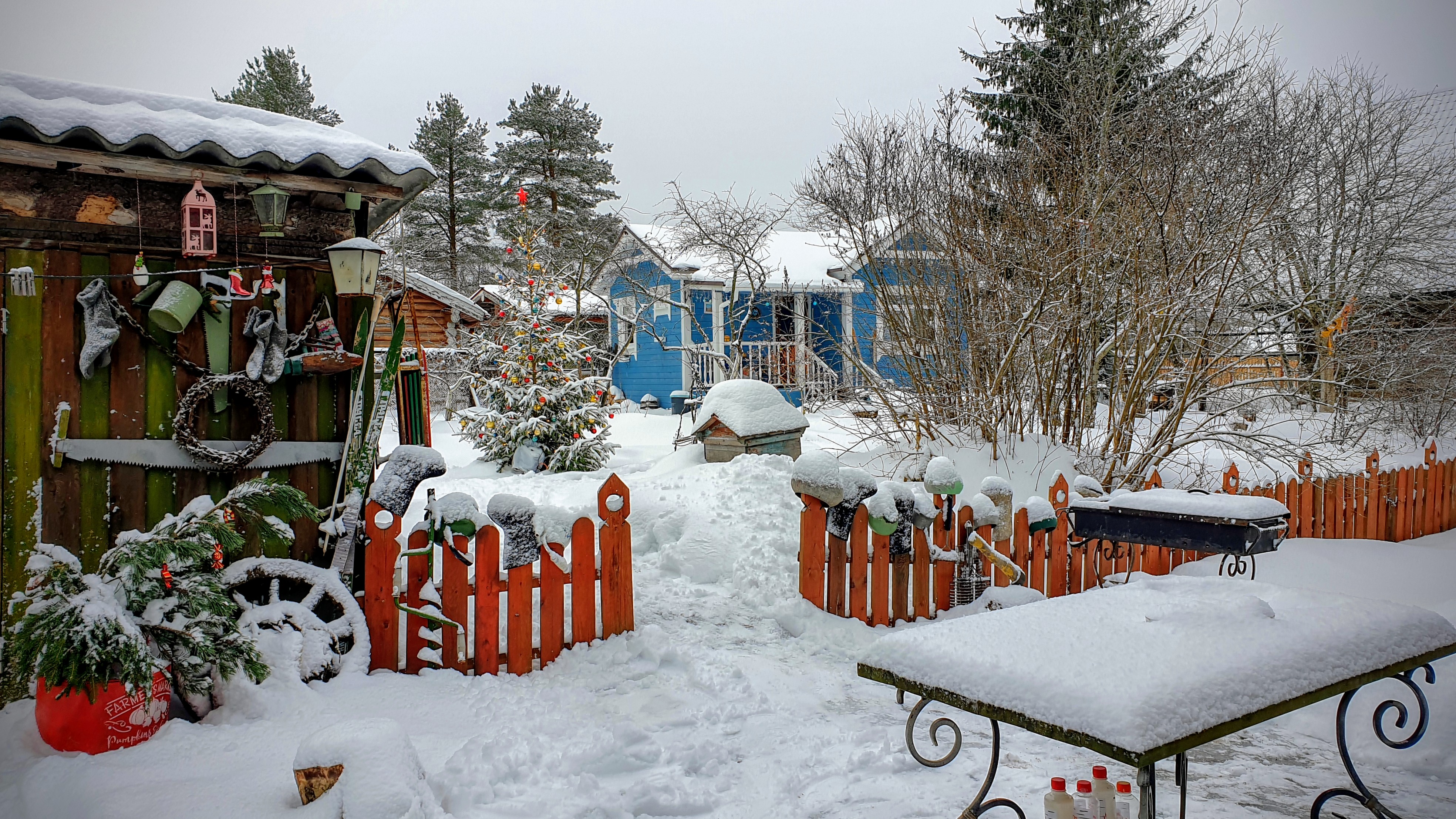 Фото Лосиный тупичок