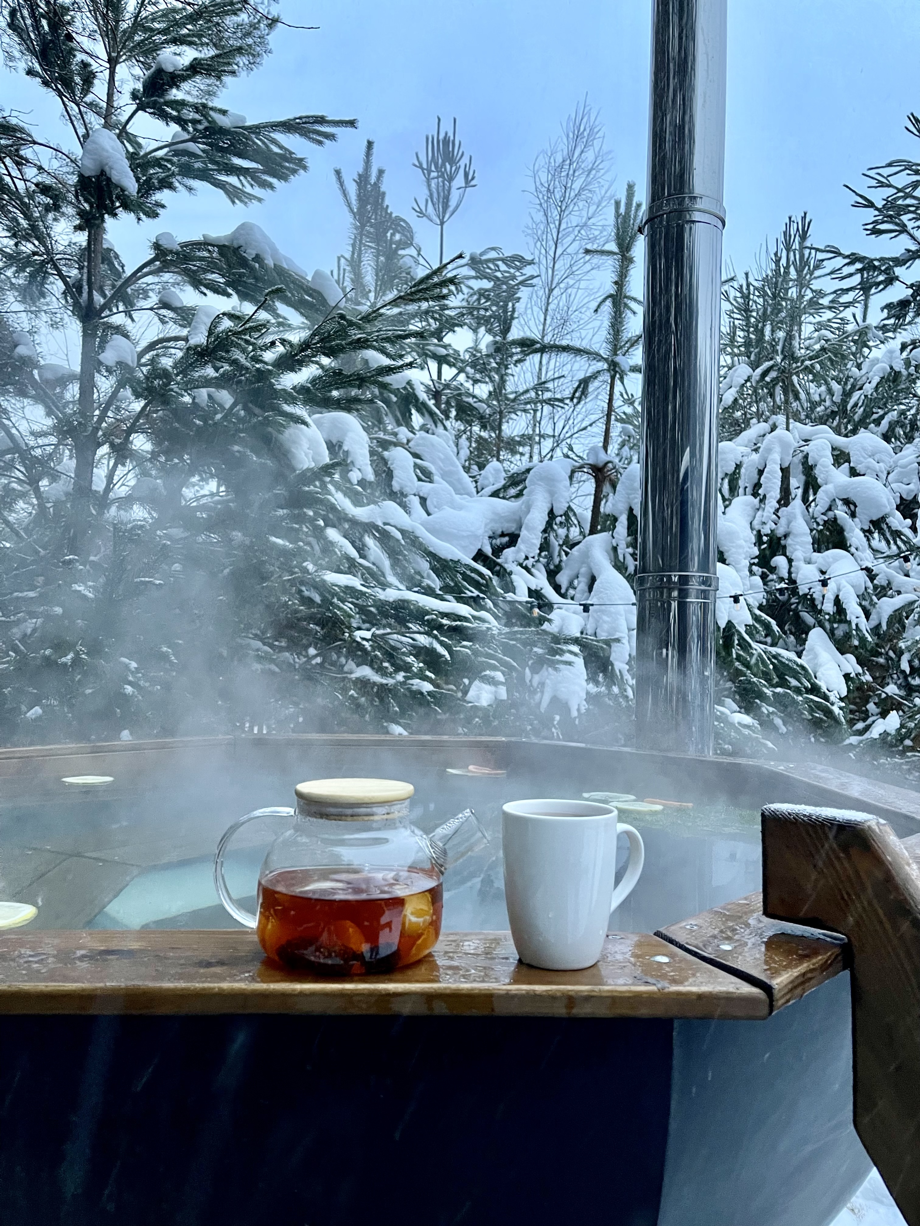 Фото Хворост