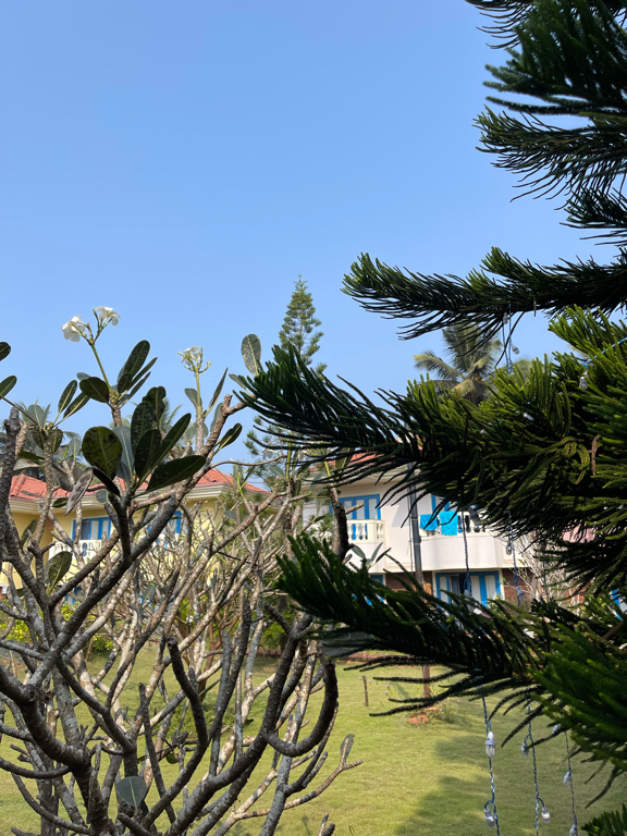 Фото Coconut Grove