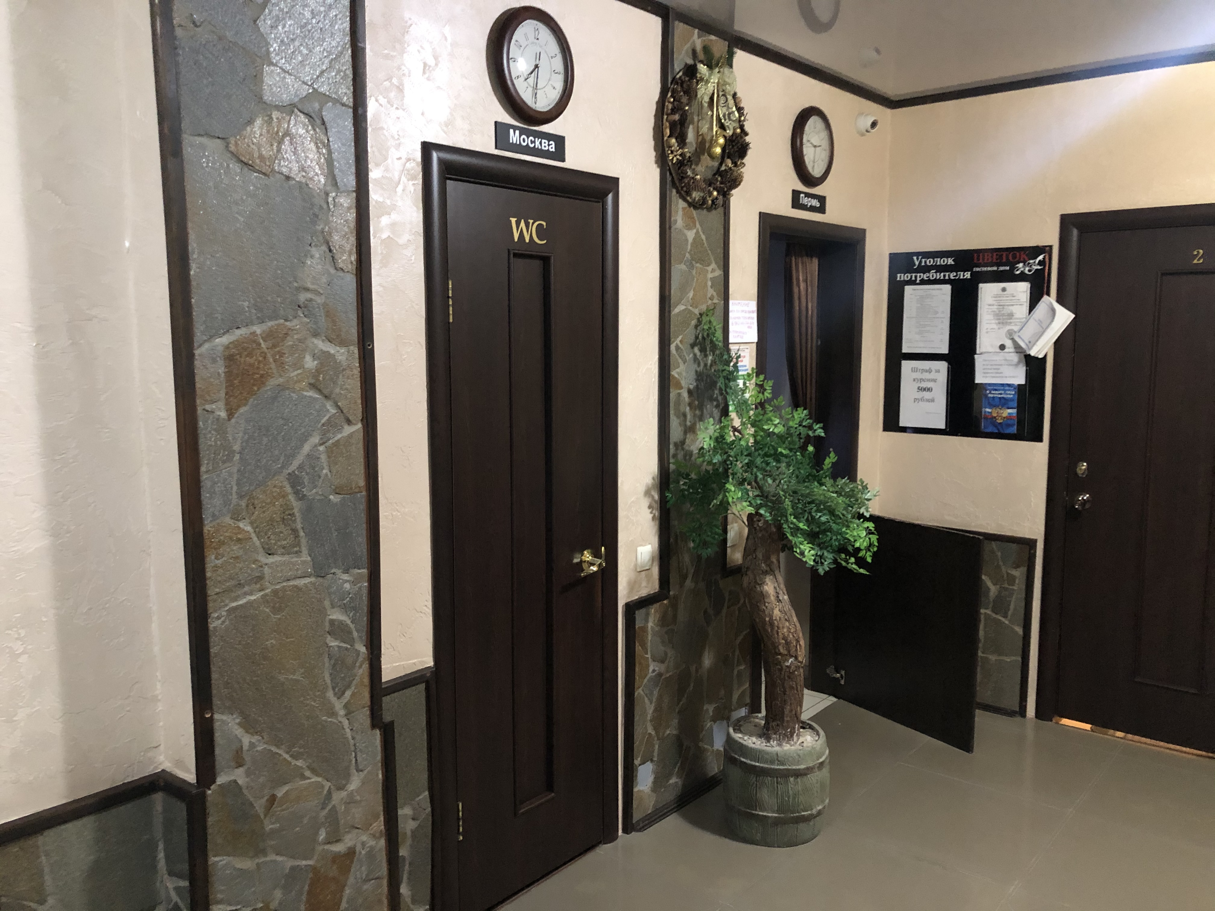 Фото Цветок