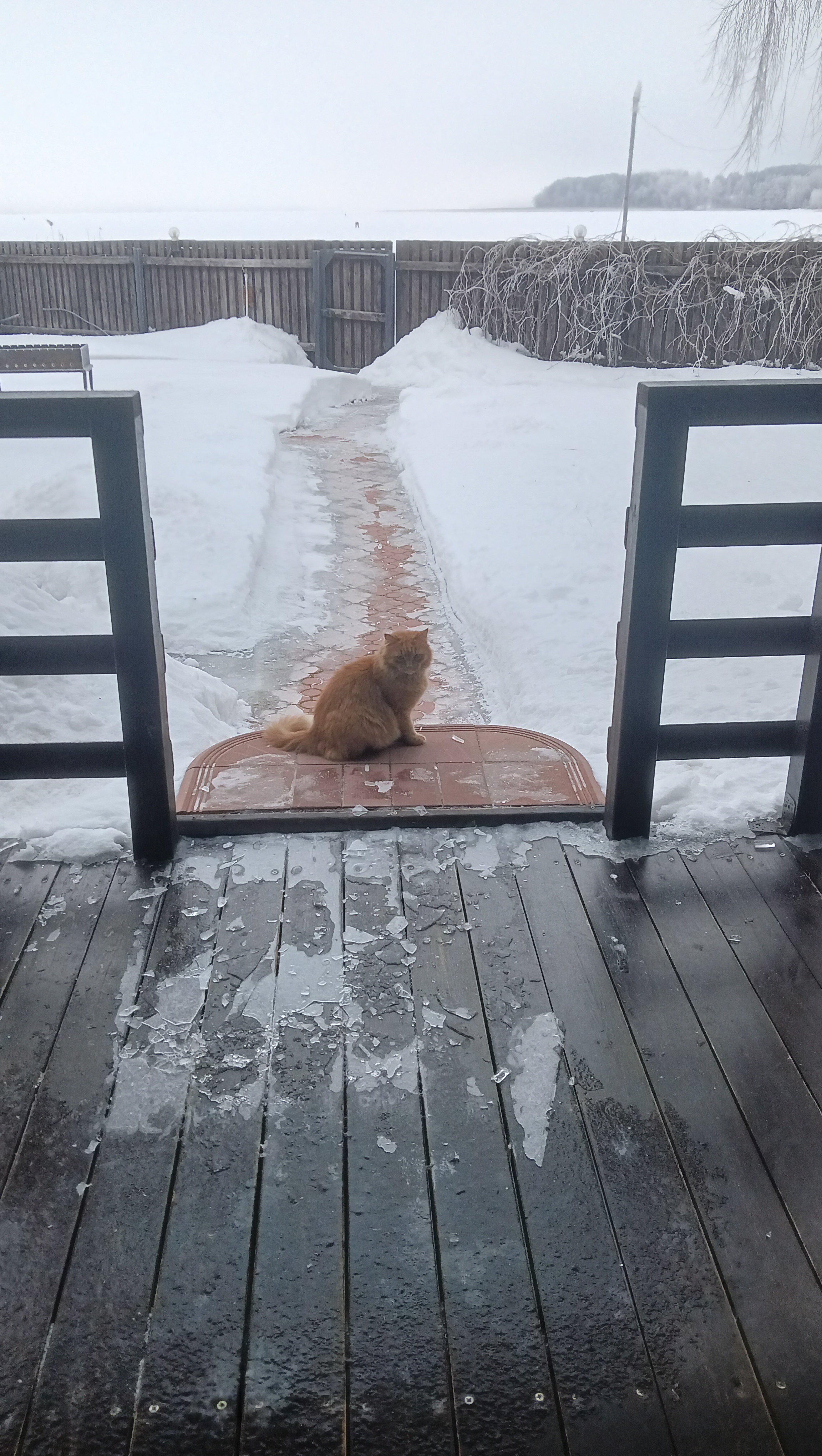 Фото Домики у Пляжа