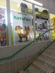 КотоПëс (посёлок городского типа Грэсовский, улица Яблочкова, 19), pet shop