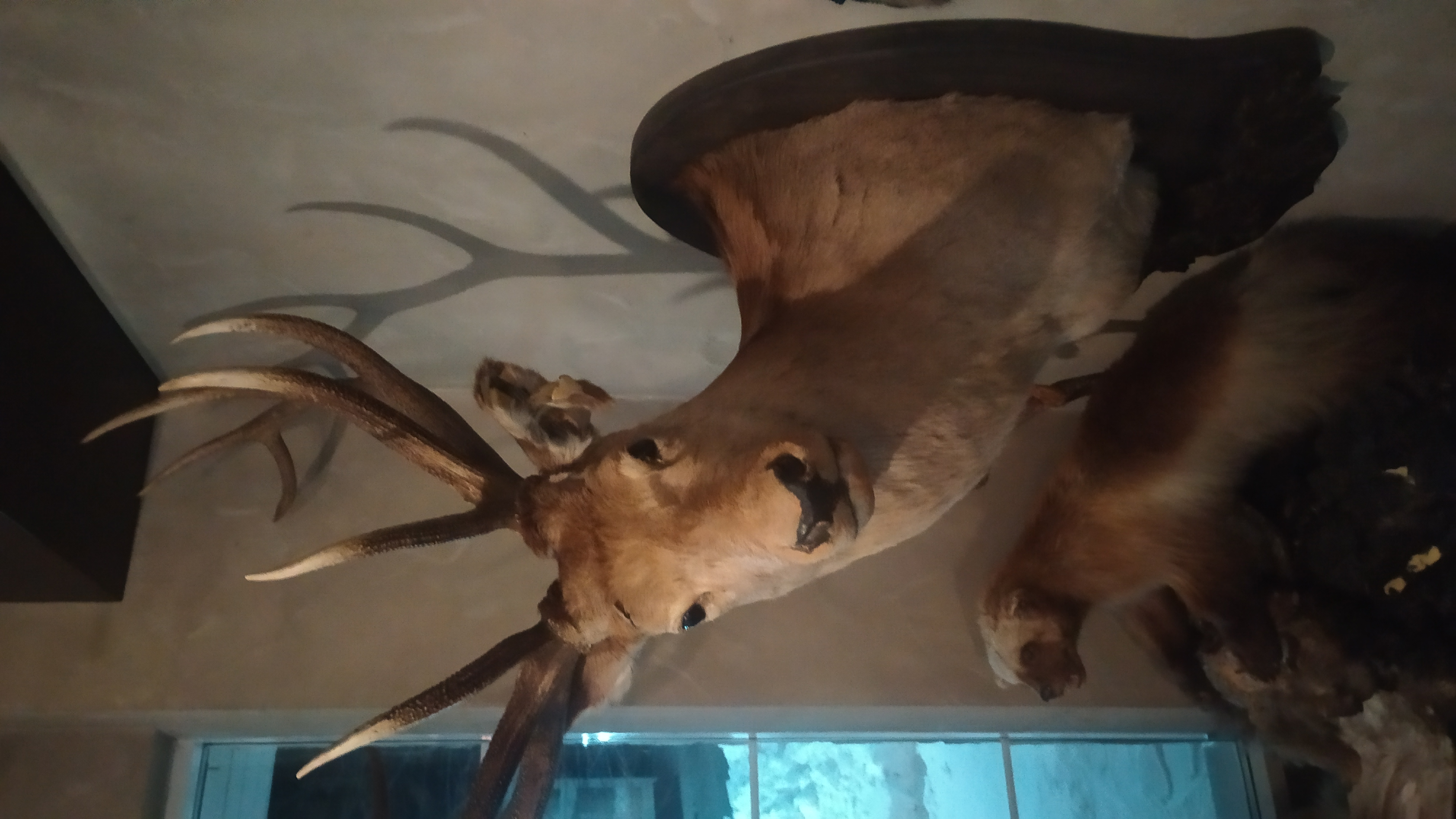 Фото Царская охота