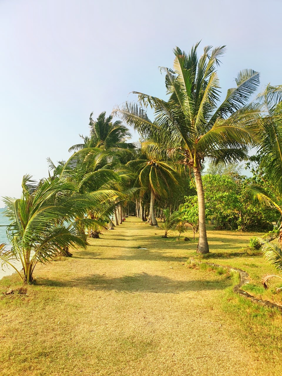 Фото The Splash Koh Chang