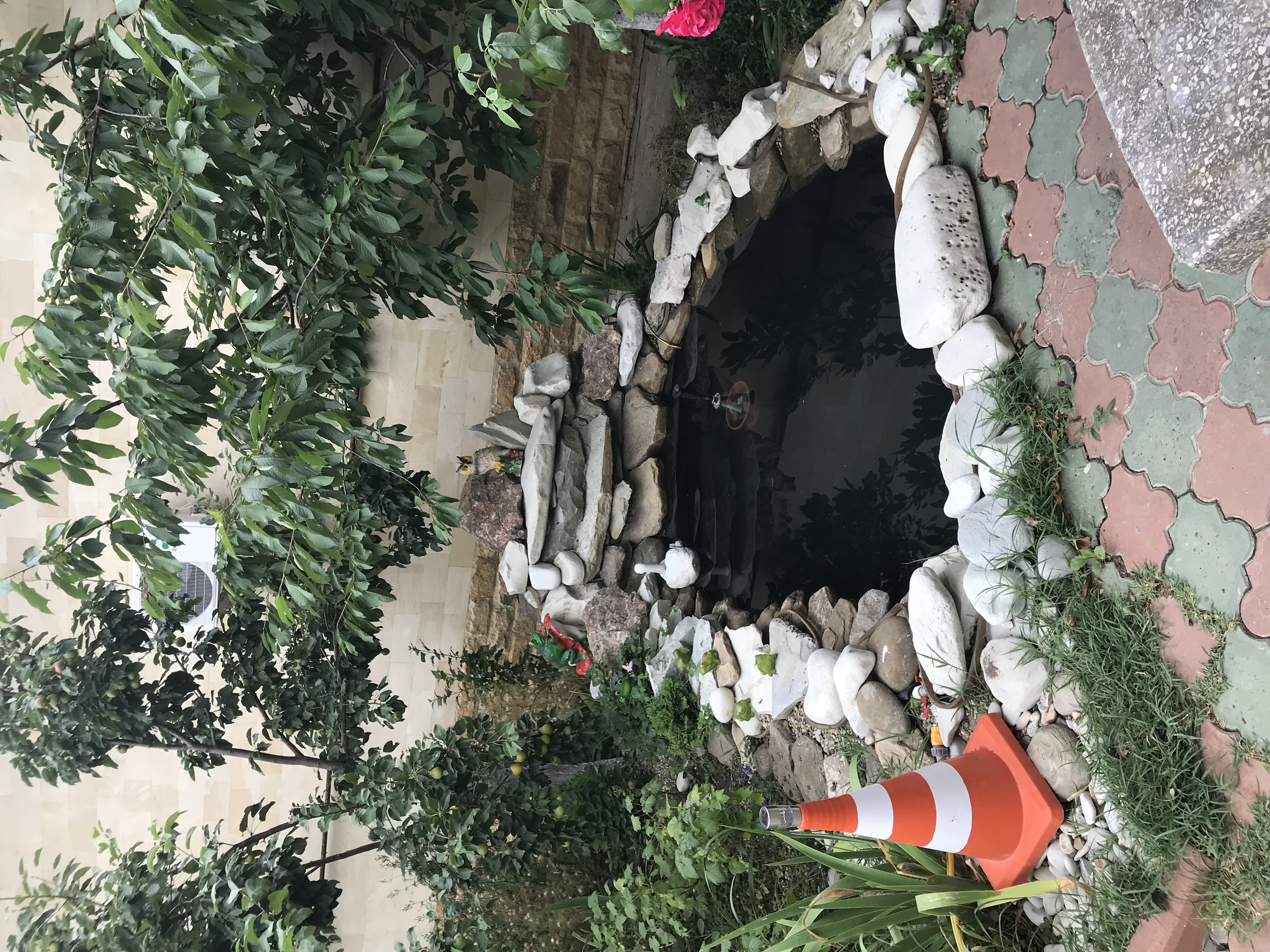 Фото Белая Невесточка