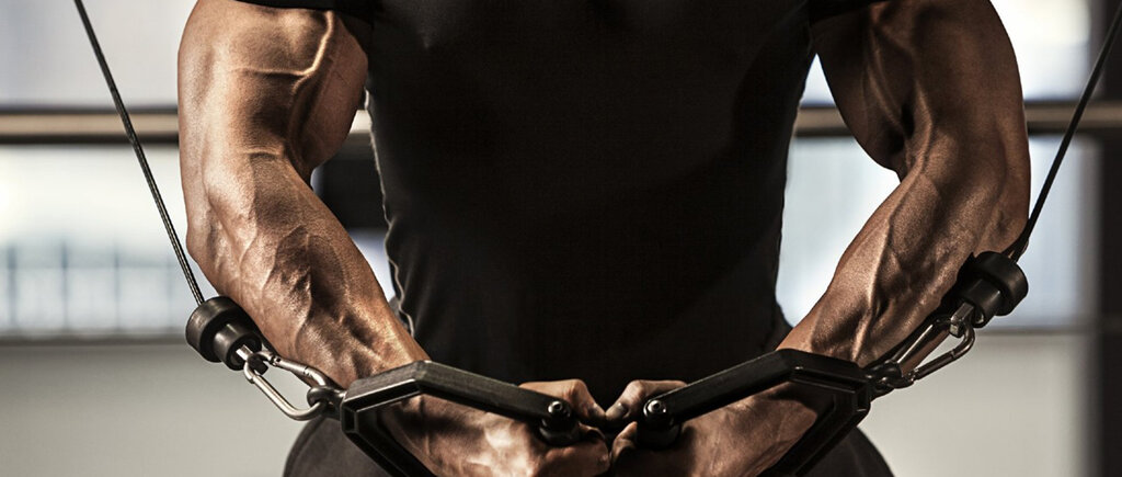 Sports hall, gym Olympus Fitness, Dubai, photo