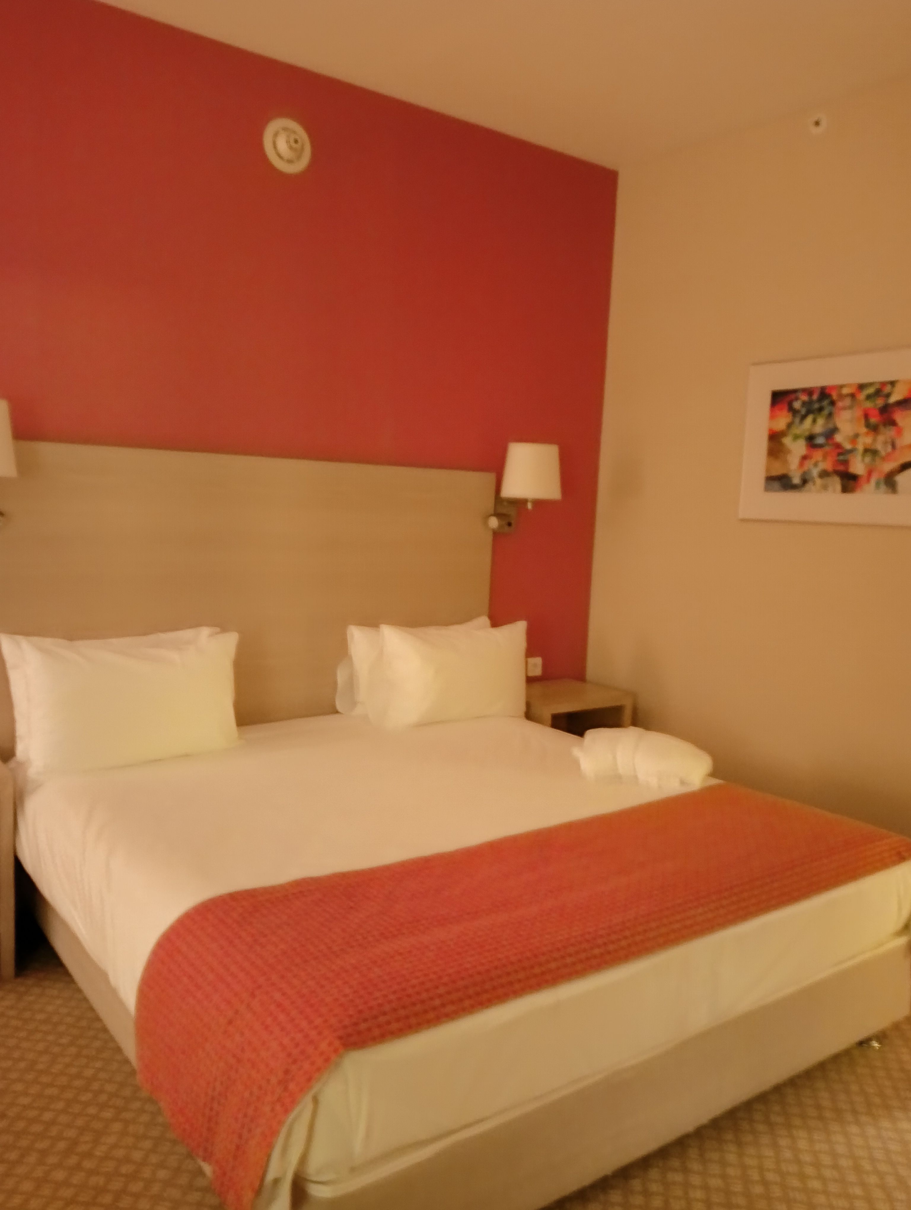 Фото Лесная Сафмар