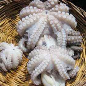 Management company Blue Waters General Trading, Dubai, photo