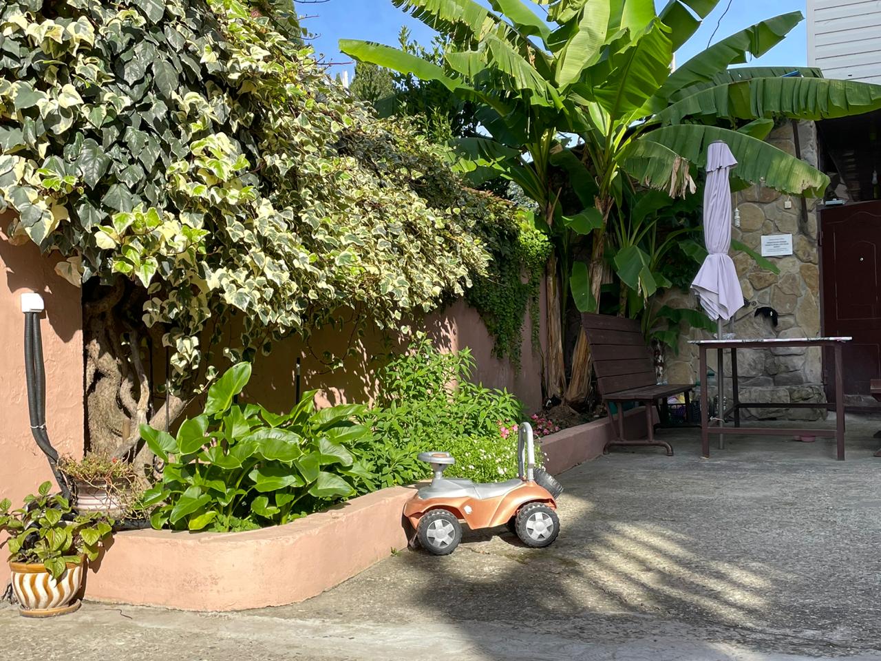 Фото Альконт-Сириус