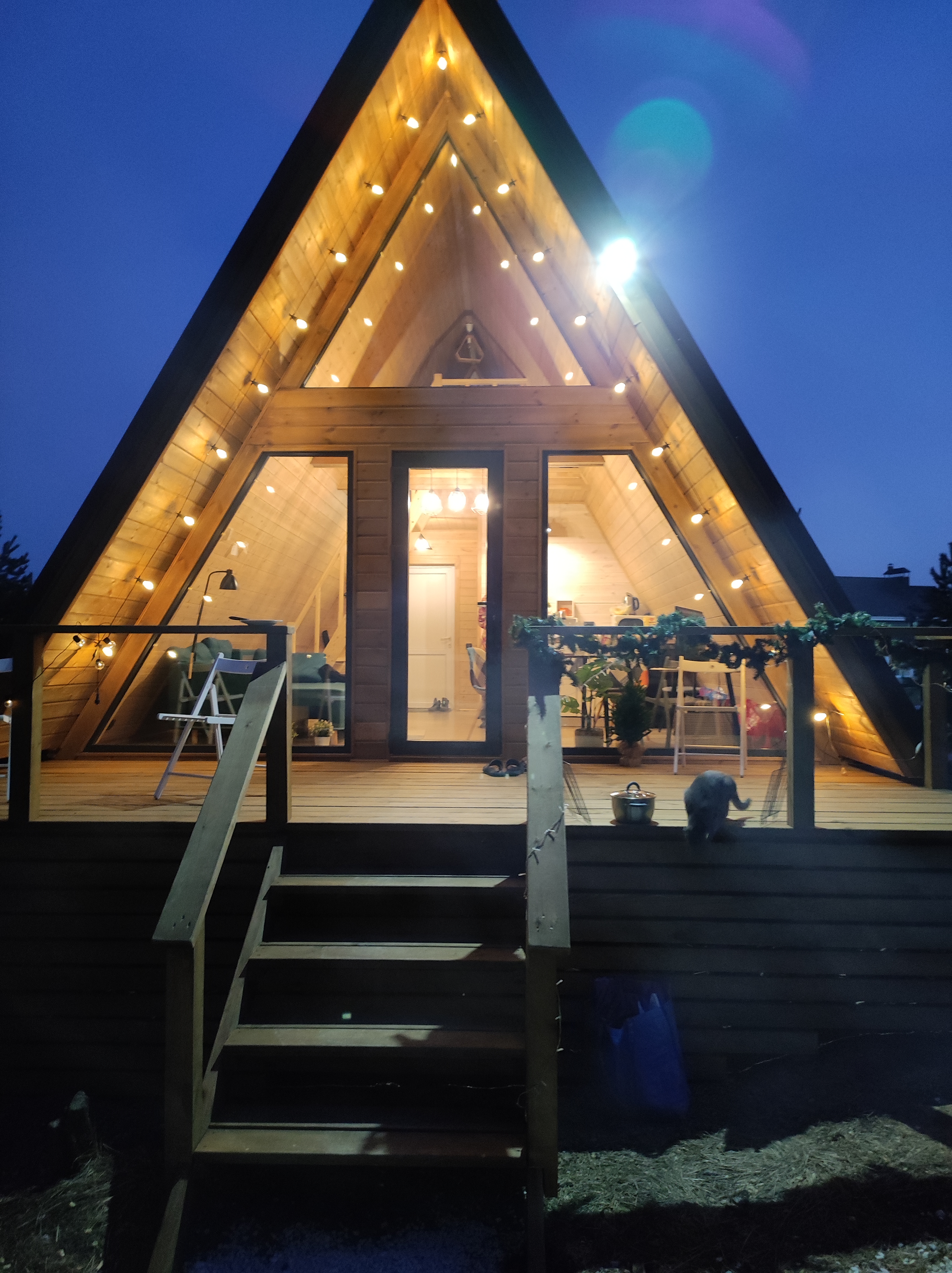 Фото Ёлки Кэмп