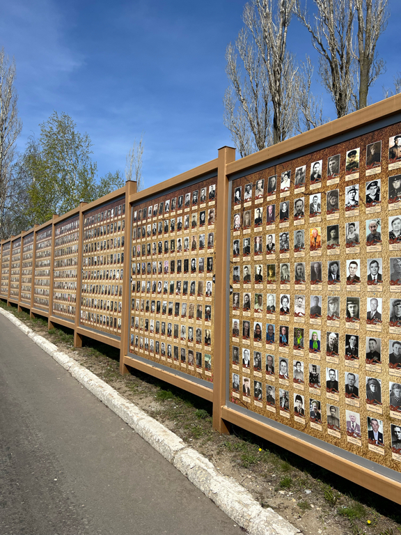 Фото Журавли