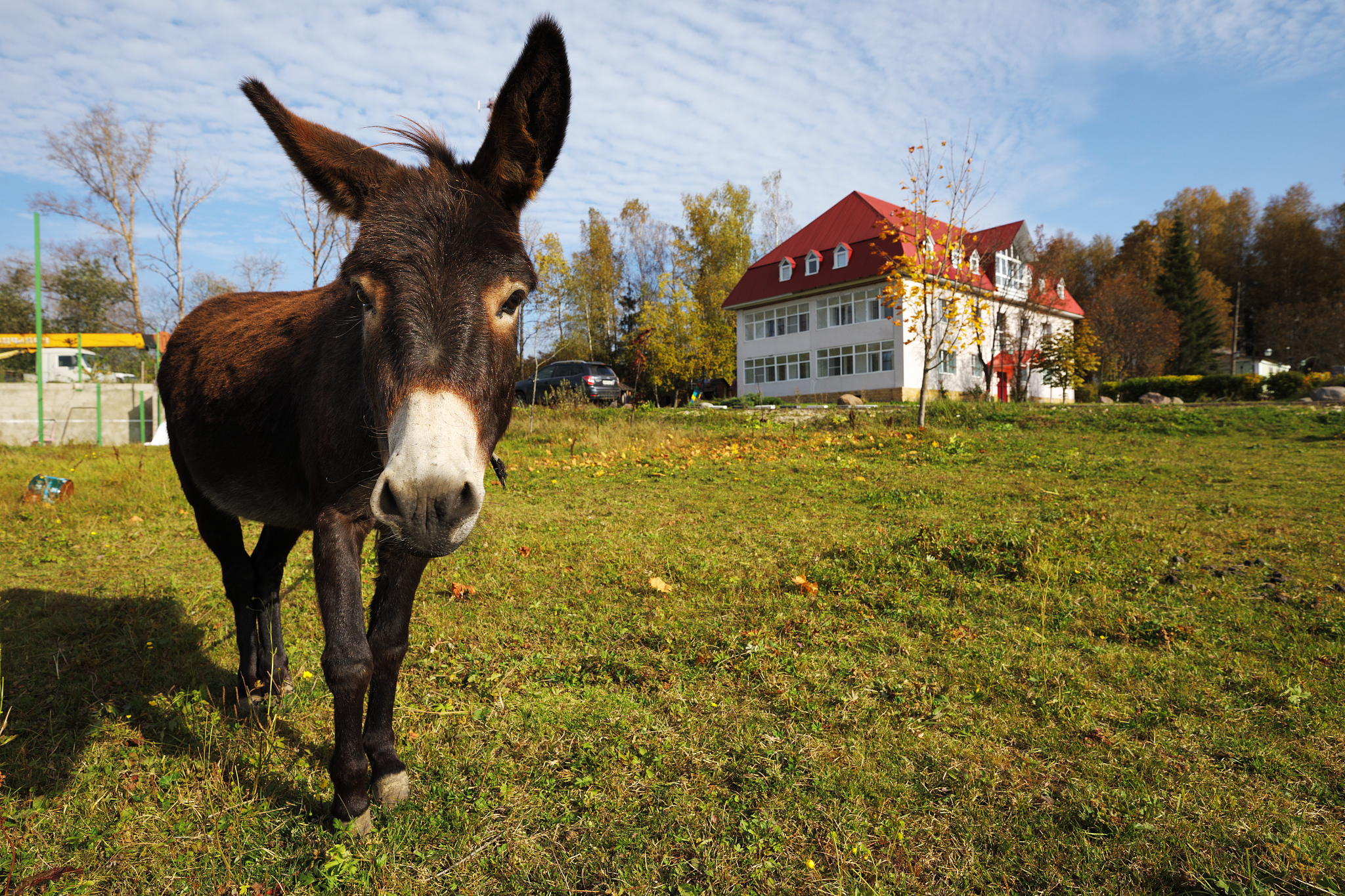 Фото отеля 3