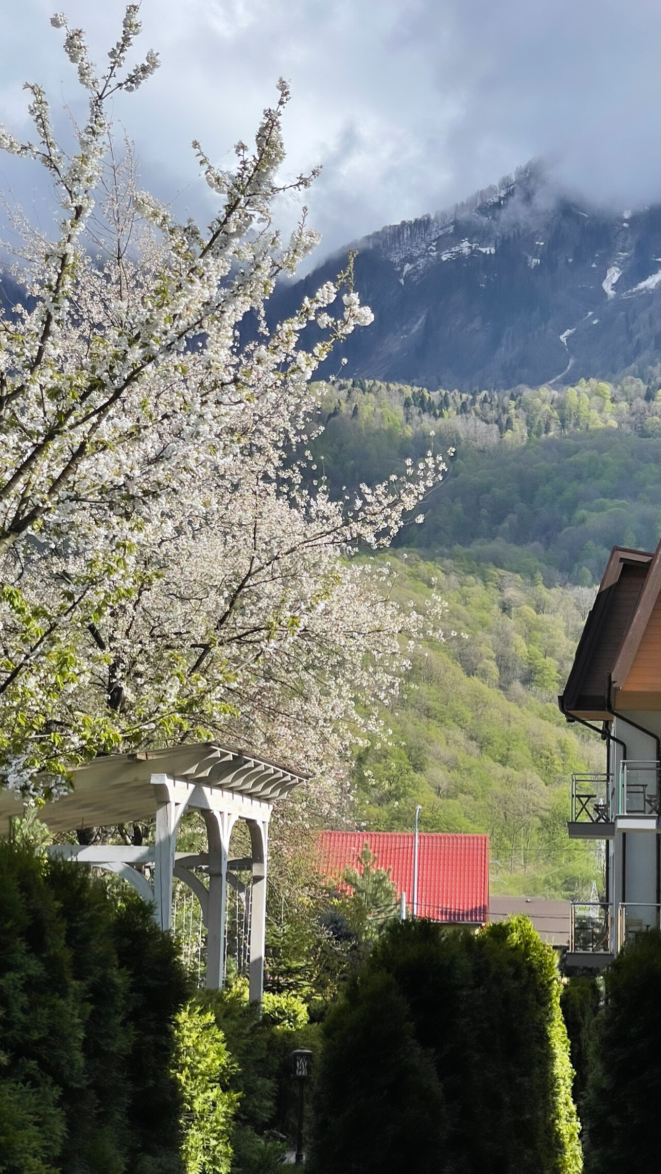 Фото Hills Polyana Hotel & SPA