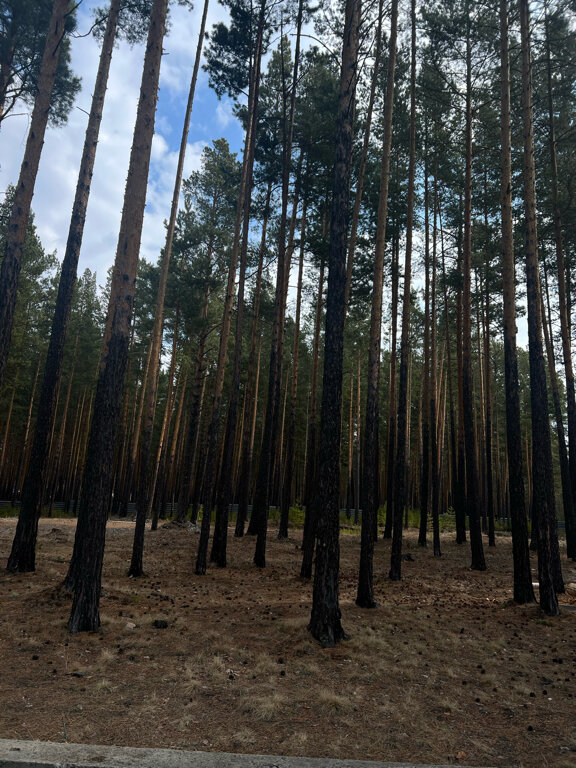 Фото Солнечная Заимка