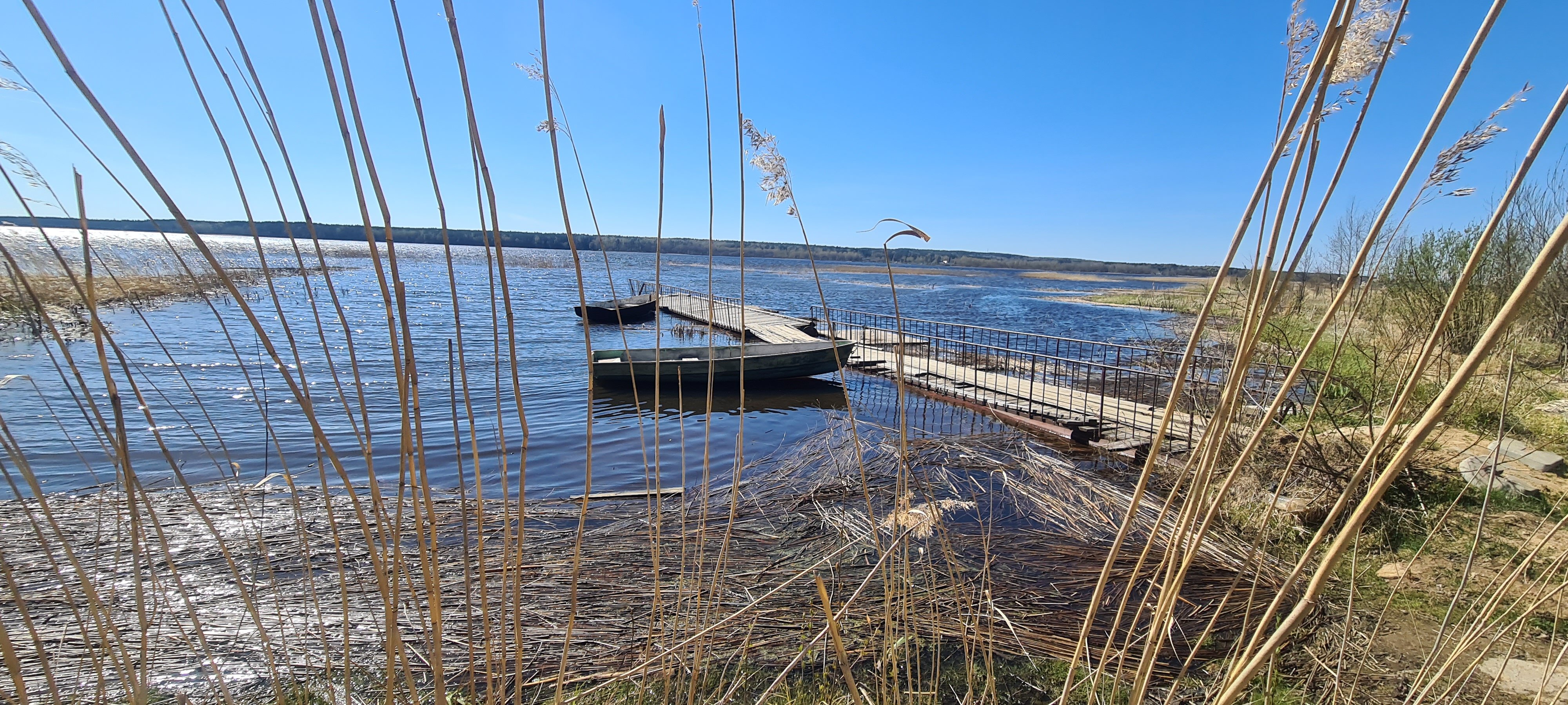 Фото Пять звезд